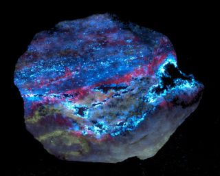 Wow Colorful Sw/uv Fluorescent From The White Elephant Mine,  Ca.  106