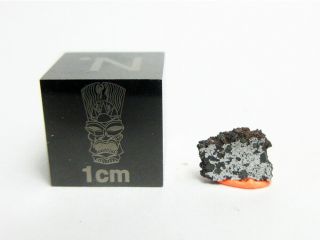 Nwa 13202 Chon - Ung 0.  19g Slice Of Metal - Rich Chondrite Meteorite