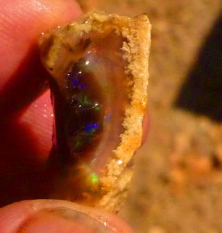 Virgin Valley Black Precious Opal Petrified Wood Specimen Nevada 21.  7cts