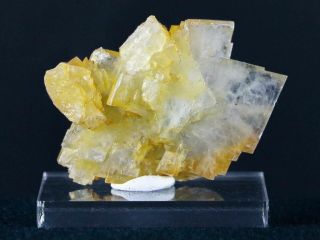 Yellow Tabular Barite Crystal Cluster Mineral Bou Naha Mine,  Morocco 1.  4 Oz