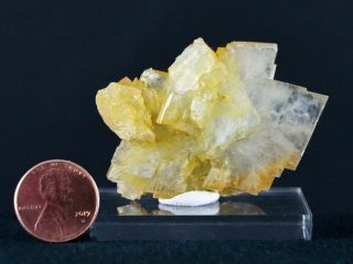 Yellow Tabular Barite Crystal Cluster Mineral Bou Naha Mine,  Morocco 1.  4 OZ 2