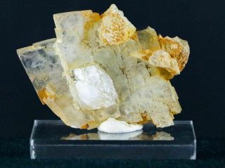 Yellow Tabular Barite Crystal Cluster Mineral Bou Naha Mine,  Morocco 1.  4 OZ 3