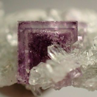 Fluorite Purplish Zoned Crystal On Quartz Krupka,  Czech Republic