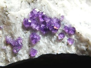Tiny Deep Purple Fluorite Crystals From The Sweet Home Mine Colorado 207gr