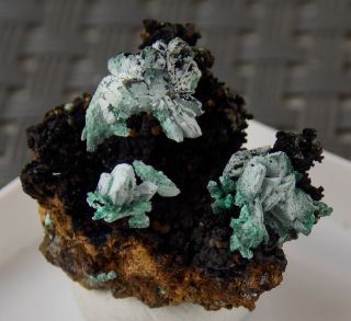 Malachite Ps Azurite Crystals - 2 Cm - Omega Mine,  Arizona 24763