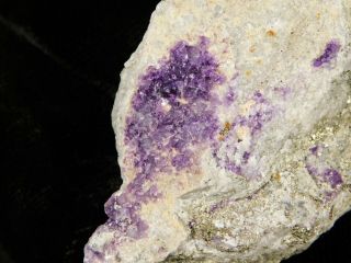 Purple Fluorite with Rhodochrosite and Pyrite Sweet Home Mine Colorado 161gr 2