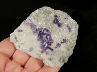 Purple Fluorite Crystal Cluster on Quartz Sweet Home Mine Colorado 166gr 2