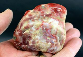 Dinosaur Coprolite From Utah • Polished Palm Stone 2106