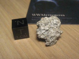 Meteorite Nwa 13149 - Eucrite,  Igneous Rock With Ophitic Texture