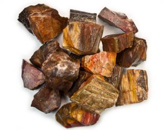 3 Lbs Petrified Wood Rough Stones - Tumbling Tumbler Rocks,  Reiki