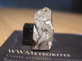 Meteorite Nwa 8346 - Coarse Medium Octahedrite (iab - Sll ; Low - Au,  Low - Ni Subgr. )