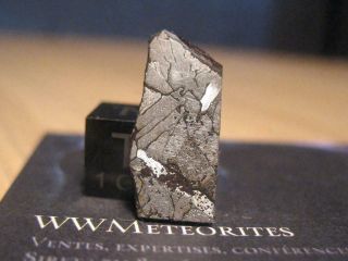 Meteorite NWA 8346 - Coarse medium octahedrite (IAB - sLL ; Low - Au,  Low - Ni subgr. ) 2