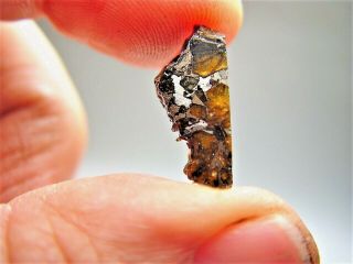 Museum Quality Crystals Brahin Pallasite Meteorite 1.  584 Gms