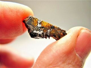 MUSEUM QUALITY CRYSTALS BRAHIN PALLASITE METEORITE 1.  584 GMS 3