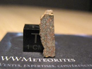 Meteorite Nwa 12581 - Very Primitive Chondrite - Ll3.  10 (one Of Six Classified)