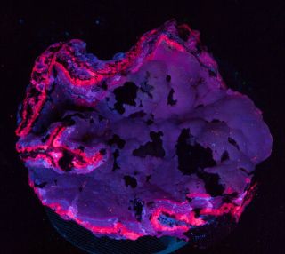 Rare Purple Fluorescence On An Affordable Smithsonite From Buena Terra Mine