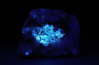 Jh4956 Large Scheelite In Triboluminescent Quartz,  Donna Anna Claim