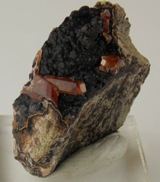 Rhodochrosite Crystals - 2.  7 Cm - Uchucchacua Mine,  Peru 24188