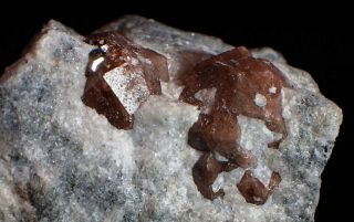 Sapphire And Almandine Crystal Fine Mineral Specimen Mont Saint Hilaire Canada