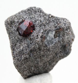 Alaskan Almandine Red Garnet Crystal Cluster Mineral Specimen Schist Alaska