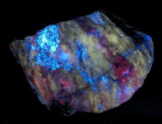 Wow Colorful Sw/uv Fluorescent From The White Elephant Mine,  Ca.  102