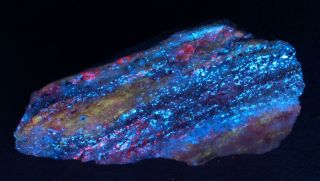 Wow Colorful Sw/uv Fluorescent From The White Elephant Mine,  Ca.  103