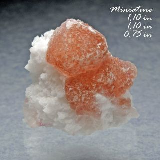 Pink Fluorite Navidad Mine Durango Mexico Minerals Crystals Gems - Min