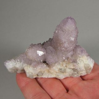 3.  5 " Spirit Amethyst Cactus Quartz Crystal Cluster - Magaliesburg,  South Africa