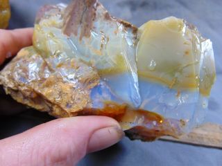 Opal Butte Opal Rough 3.  40 Lbs
