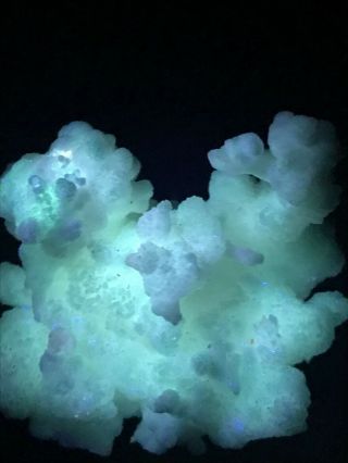 Cave Calcite/aragonite Chihuahua Mexico " Fluorescent "