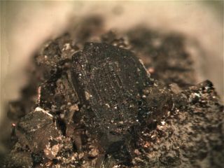 Andorite - Vi Rare Mineral Micromount From Bolivia