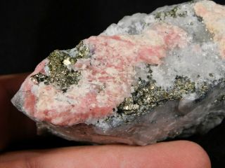 A Rhodochrosite Crystal Cluster w Pyrite & Quartz Sweet Home Mine Colorado 152gr 3