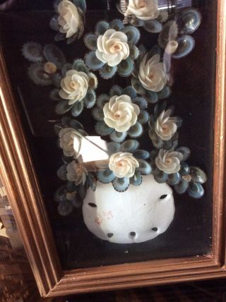 Seashell Flowers In A Sand Dollar Vase,  In Gold Curio Box,  Signed By Artist