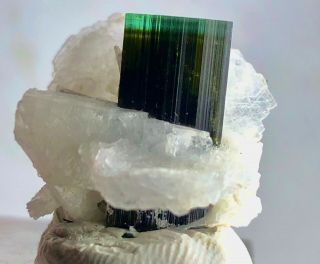 46.  15 Cts Shape Green Cap Tourmaline Crystal Specimen From Staknala Skar