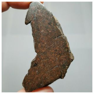 S14 - NWA 13376 Unequilibrated LL3.  4 Chondrite Meteorite 49.  15g Thick Slice 2