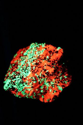 Fluorescent Christmas Ore Franklin NJ Calcite Daylight Green Willemite Specimen 2