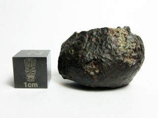 Nwa 869 Meteorite 17.  78g Thumbprinted Beauty