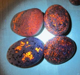 4 Yooperlite Lake Superior Rocks Stones1 1.  8 Oz Glows Under Uv Light (n1)