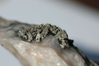 Great - Native Silver Dyscrasite Crystals Fluorescent Calcite,  Imiter Mine Morocco