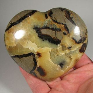 3.  7 " Septarian Heart Dragon Stone Polished Palm Stone - Madagascar