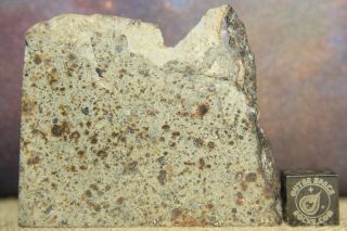 Nwa 6080 Ll4 Chondrite Meteorite 43.  2 Gram Part Slice With Chondrules And Metal