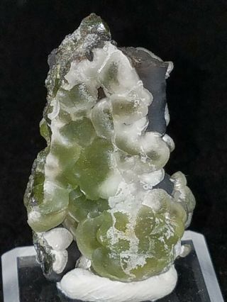 Bubbly Smithsonite Crystals Silver Hill Mine Pima Cty Arizona Mineral Specimen