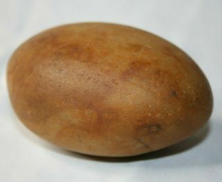 Rock That Looks Like A Potato