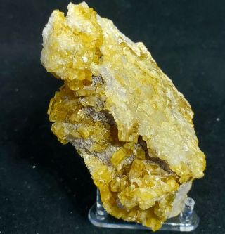 Small Golden Barite On Quartzite Matrix: Eagle Mine,  Colorado,  Classic