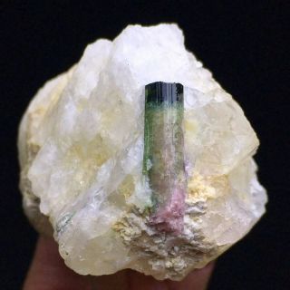108g Natural Pink/green Column Tourmaline Gem Crystal Based On Quartz Specimen