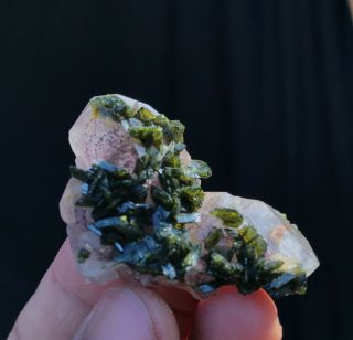 Bright Green Epidote Crystals On Green Quartz Cluster From China