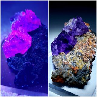 Gorgeous - Fluorescent Pink/purple Fluorite Crystals,  Ojuela Mine Mexico