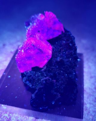 GORGEOUS - Fluorescent Pink/Purple Fluorite crystals,  Ojuela mine Mexico 2