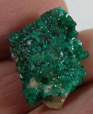 13 19.  00mm Kazakhstan 100 Natural Dioptase Crystal In Matrix Specimen 3/4 In