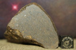 Nwa Unclassified Meteorite 132 Gram Desert Polished Individual - Windowed